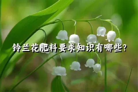 铃兰花肥料要求知识有哪些？