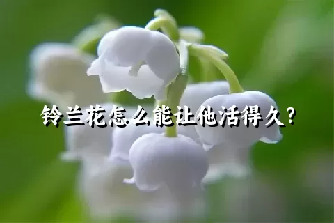 铃兰花怎么能让他活得久？