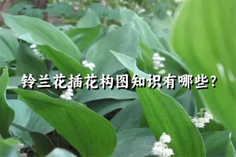 铃兰花插花构图知识有哪些？