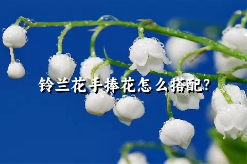 铃兰花手捧花怎么搭配？