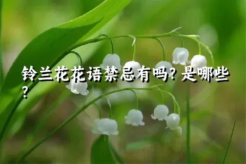 铃兰花花语禁忌有吗？是哪些？