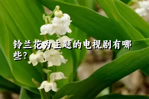 铃兰花为主题的电视剧有哪些？