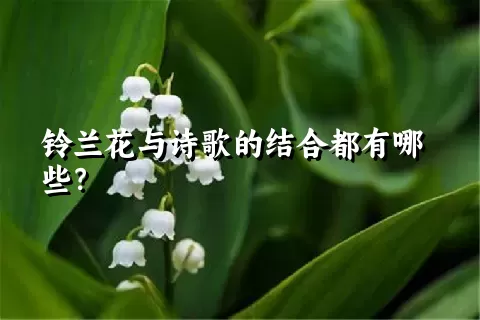 铃兰花与诗歌的结合都有哪些？