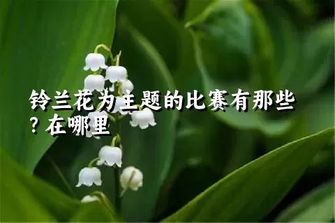 铃兰花为主题的比赛有那些？在哪里