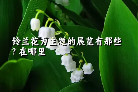 铃兰花为主题的展览有那些？在哪里