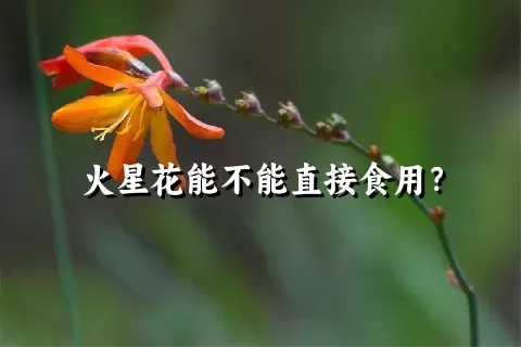 火星花能不能直接食用？