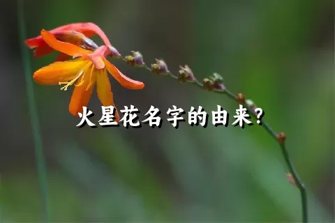 火星花名字的由来？