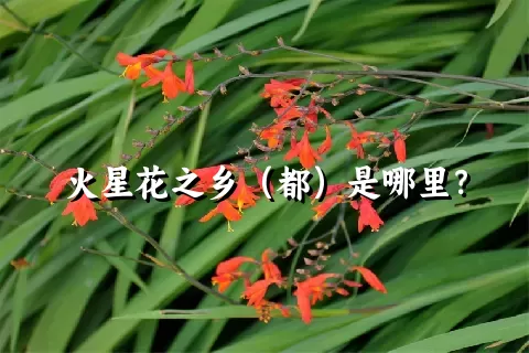 火星花之乡（都）是哪里？