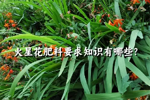 火星花肥料要求知识有哪些？