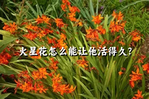 火星花怎么能让他活得久？