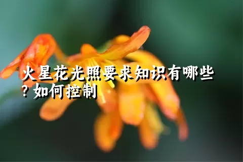 火星花光照要求知识有哪些？如何控制