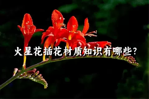 火星花插花材质知识有哪些？