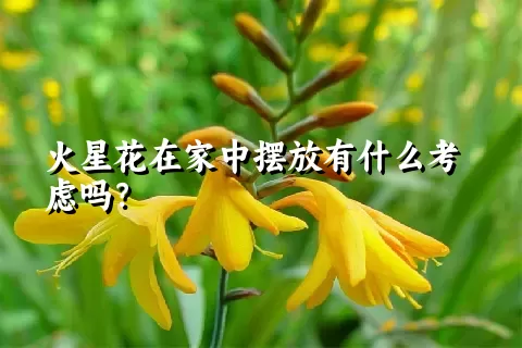 火星花在家中摆放有什么考虑吗？