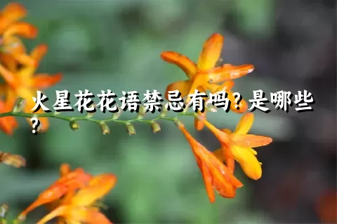 火星花花语禁忌有吗？是哪些？