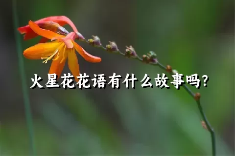 火星花花语有什么故事吗？