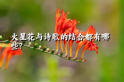 火星花与诗歌的结合都有哪些？