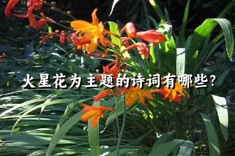 火星花为主题的诗词有哪些？