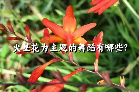 火星花为主题的舞蹈有哪些？