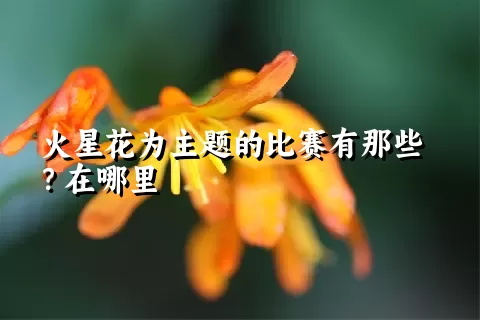 火星花为主题的比赛有那些？在哪里