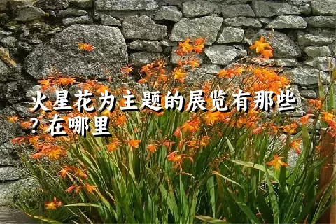 火星花为主题的展览有那些？在哪里