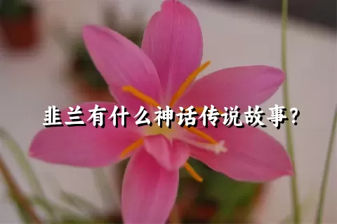 韭兰有什么神话传说故事？