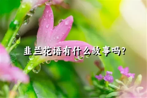 韭兰花语有什么故事吗？