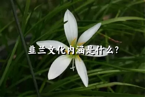 韭兰文化内涵是什么？