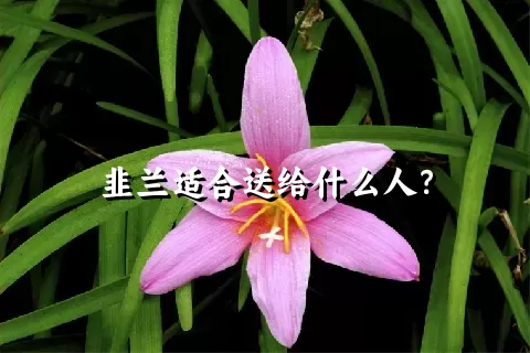 韭兰适合送给什么人？