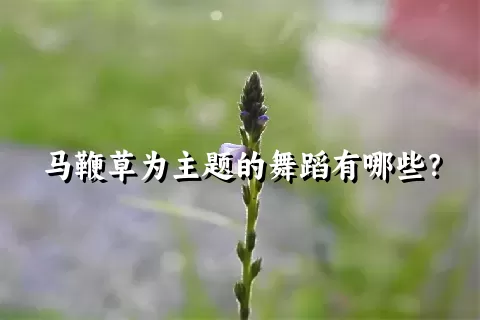 马鞭草为主题的舞蹈有哪些？