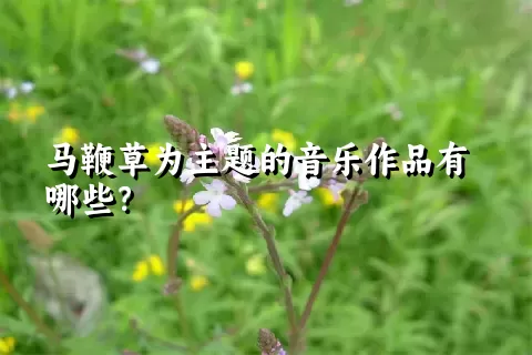 马鞭草为主题的音乐作品有哪些？