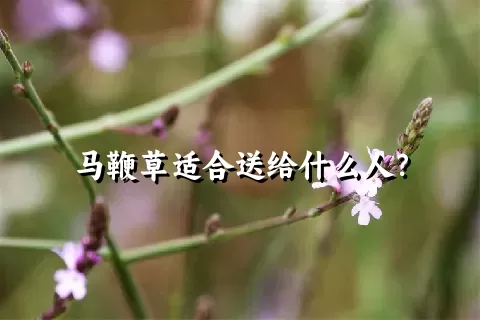 马鞭草适合送给什么人？