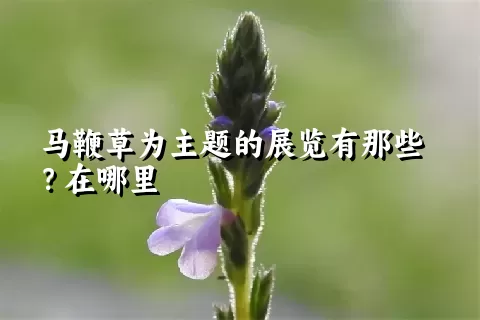 马鞭草为主题的展览有那些？在哪里