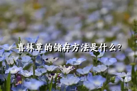 喜林草的储存方法是什么？