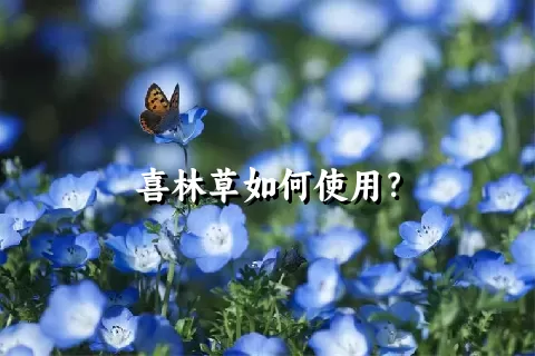 喜林草如何使用？