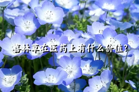 喜林草在医药上有什么价值？