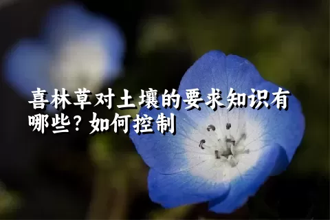 喜林草对土壤的要求知识有哪些？如何控制