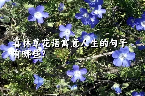 喜林草花语寓意人生的句子有哪些？