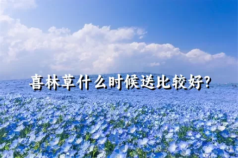 喜林草什么时候送比较好？