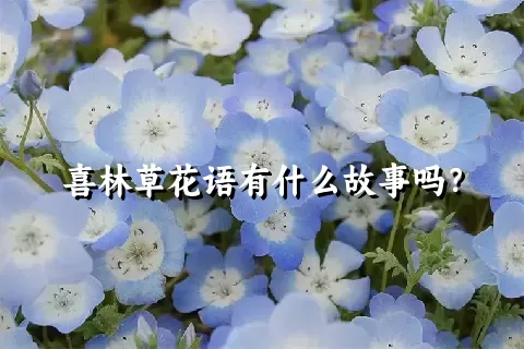 喜林草花语有什么故事吗？