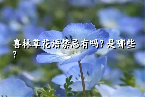 喜林草花语禁忌有吗？是哪些？