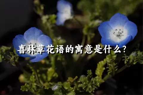 喜林草花语的寓意是什么？