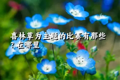 喜林草为主题的比赛有那些？在哪里