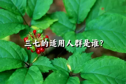 三七的适用人群是谁？