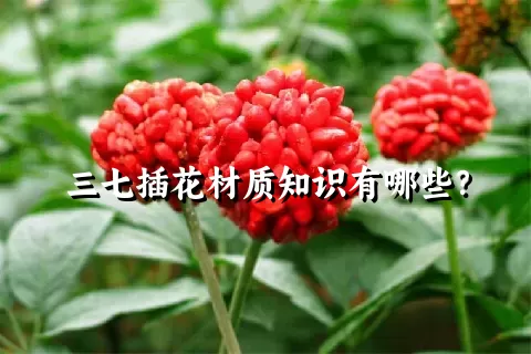 三七插花材质知识有哪些？