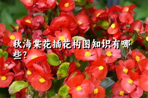 秋海棠花插花构图知识有哪些？