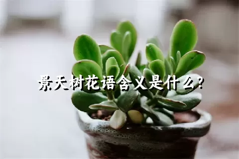 景天树花语含义是什么？