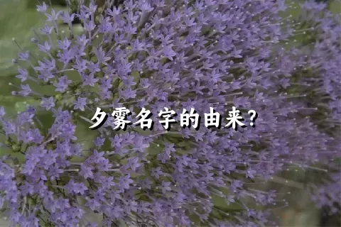 夕雾名字的由来？