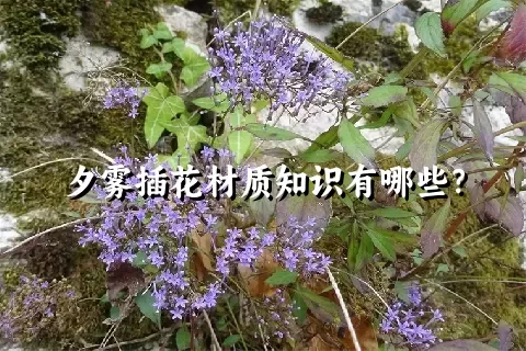 夕雾插花材质知识有哪些？