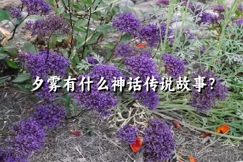 夕雾有什么神话传说故事？