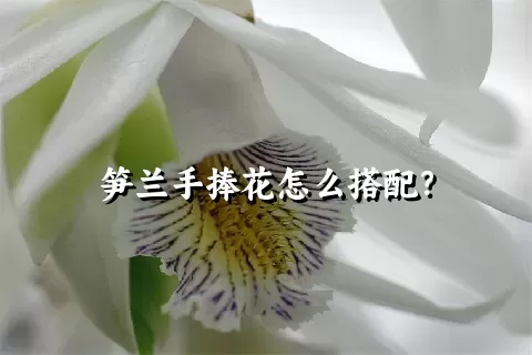 笋兰手捧花怎么搭配？